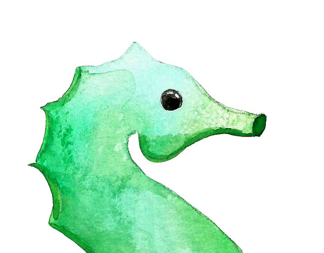 水绿色海洋生物海马矢量元素