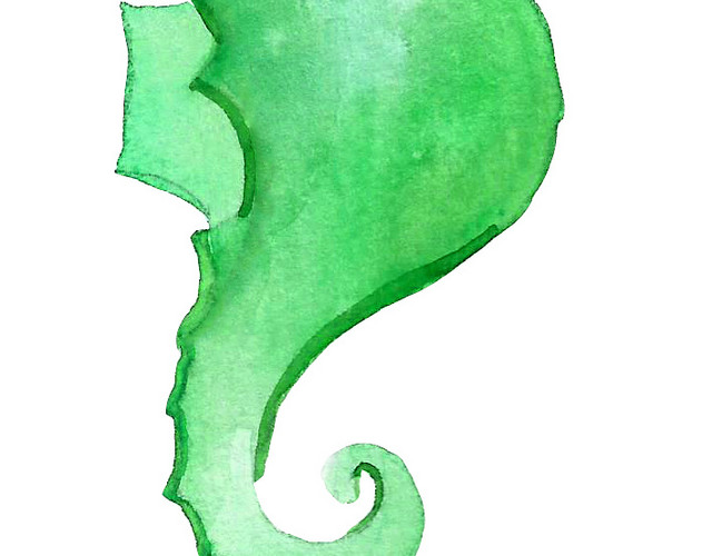 水绿色海洋生物海马矢量元素