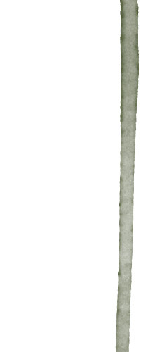 粉色简约小花图片下载素材