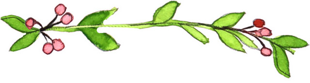 水彩叶子植物花边装饰素材