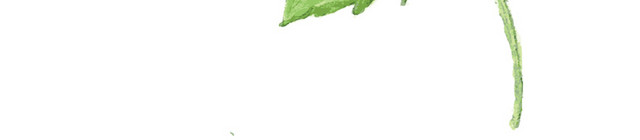 手绘水彩绿色枫叶素材