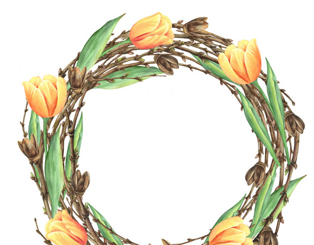 手绘郁金香花环设计素材