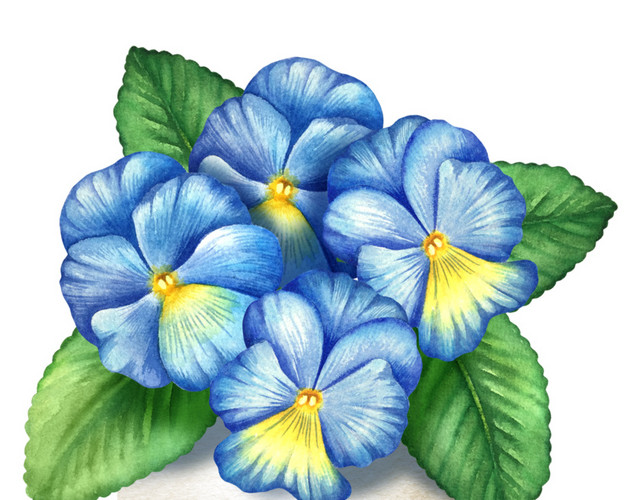 水彩手绘蓝色鲜花花瓶素材