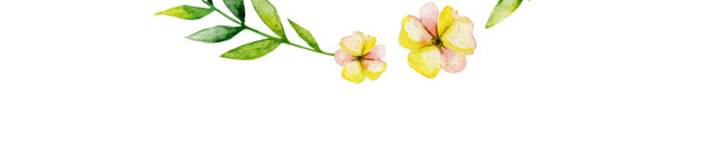 清新简约水彩花圈