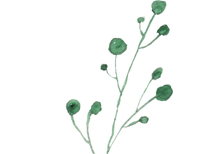 手绘绿色小草