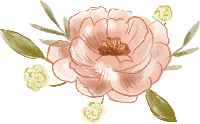 手绘牡丹花