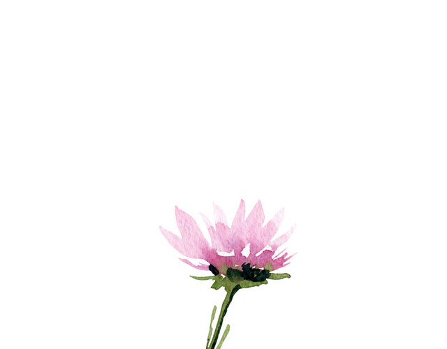 粉色小花矢量素材