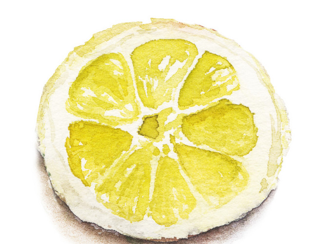 手绘水彩食物柠檬矢量插画