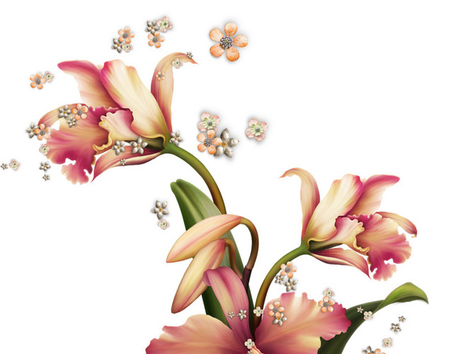 手绘水彩植物花朵矢量插画