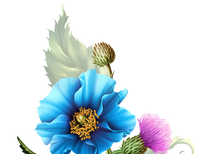手绘水彩植物花朵矢量插画