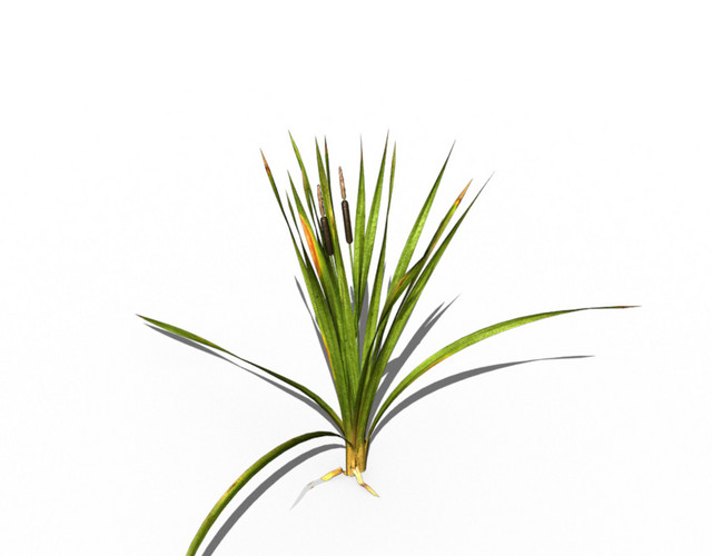 彩色绿叶植物矢量装饰素材