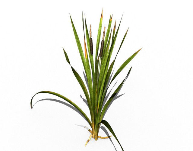 彩色绿叶植物矢量装饰素材