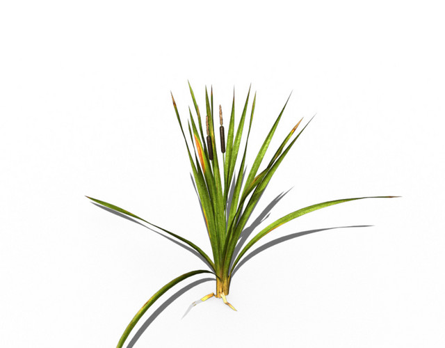 彩色绿叶植物矢量装饰素材