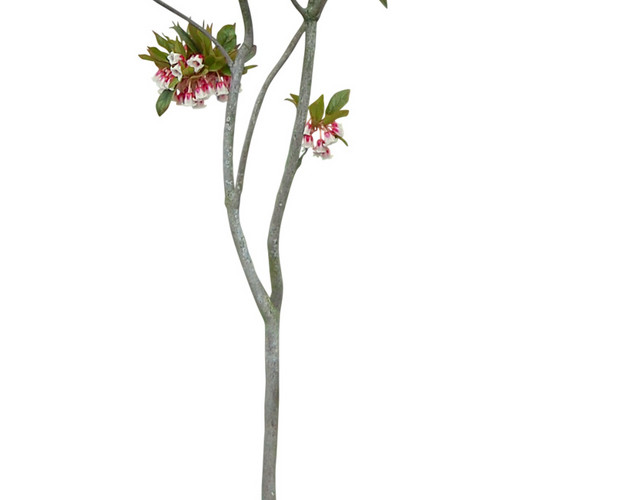 花朵绿色叶子树木素材