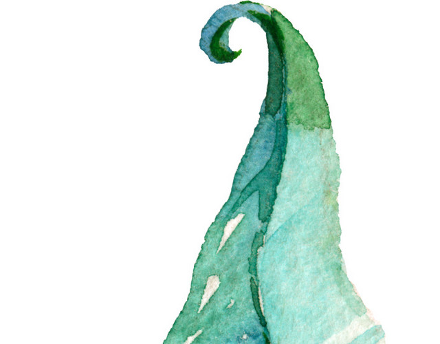 植物叶片树枝手绘水彩画