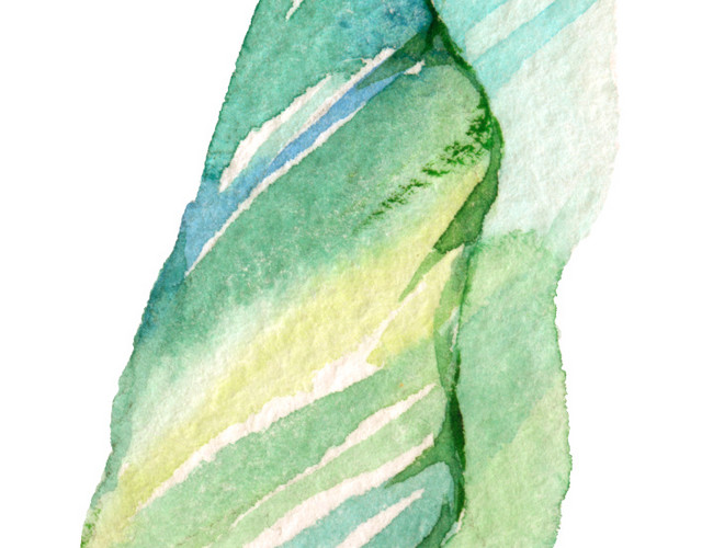 植物叶片树枝手绘水彩画