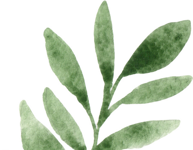 晕染树枝树叶书签植物