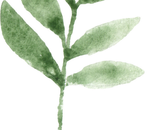 晕染树枝树叶书签植物