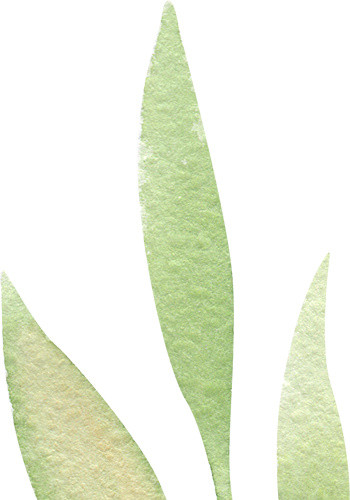 彩色清新手绘水彩叶子矢量素材