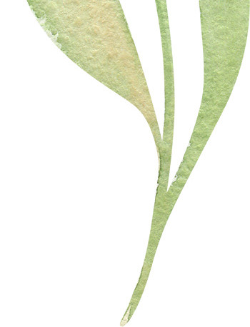 彩色清新手绘水彩叶子矢量素材