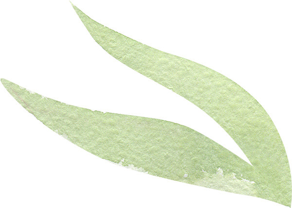 可爱卡通植物水彩矢量素材