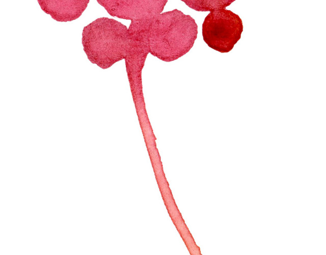 红色涂鸦花朵矢量图