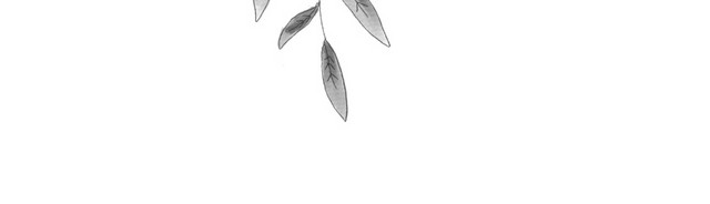 清新小花插画矢量图