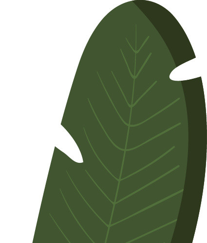 绿色清新植物海藻素材