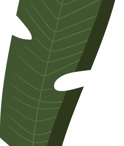 绿色清新植物海藻素材