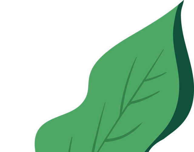 绿色清新植物海藻素材