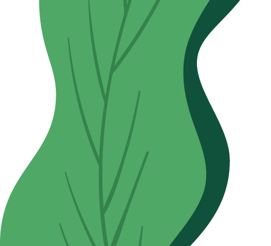 绿色清新植物海藻素材