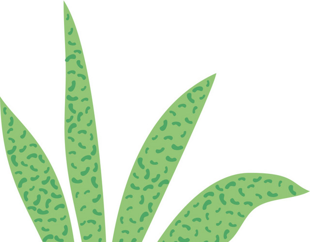 绿色清新植物草素材