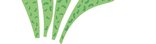 绿色清新植物草素材