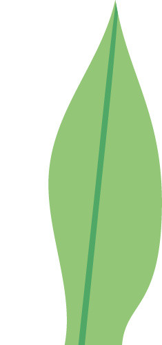 绿色清新植物海藻素材