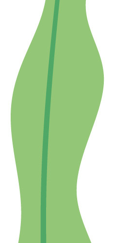 绿色清新植物海藻素材