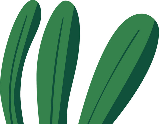 绿色清新植物海藻素材