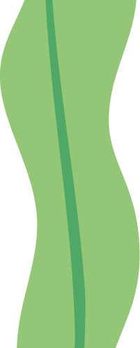 绿色清新植物海藻素材