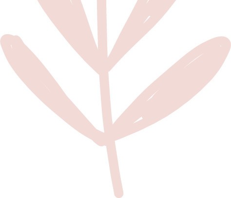 小清新花草插画免抠图素材