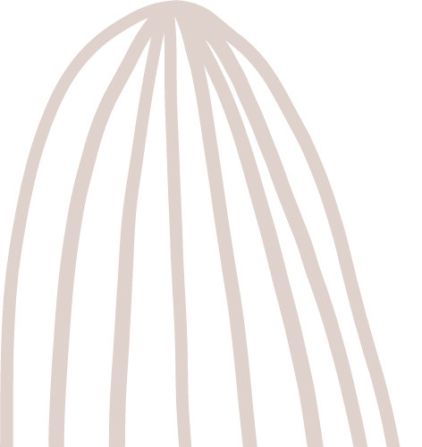 小清新瓜子插画免抠图素材