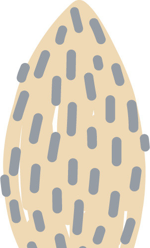 小清新种子插画免抠图素材