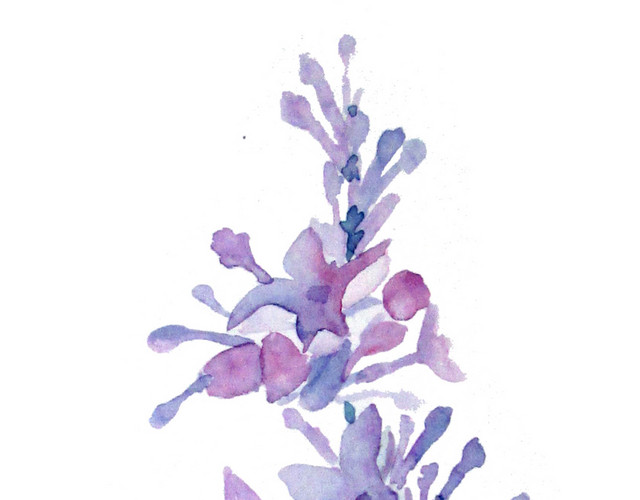 水彩紫色花串素材