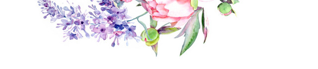 粉色花朵紫藤花素材