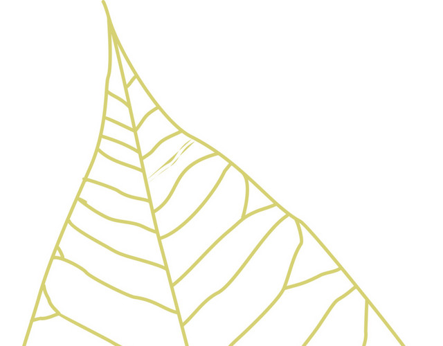 简约叶子