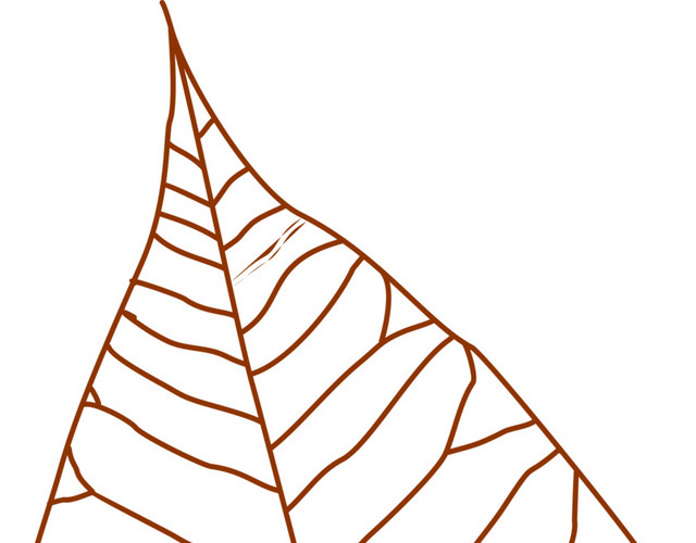 手绘树叶