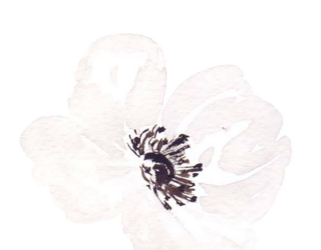 中国风 彩墨 水粉 花