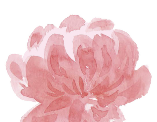 中国风 彩墨 水粉 花