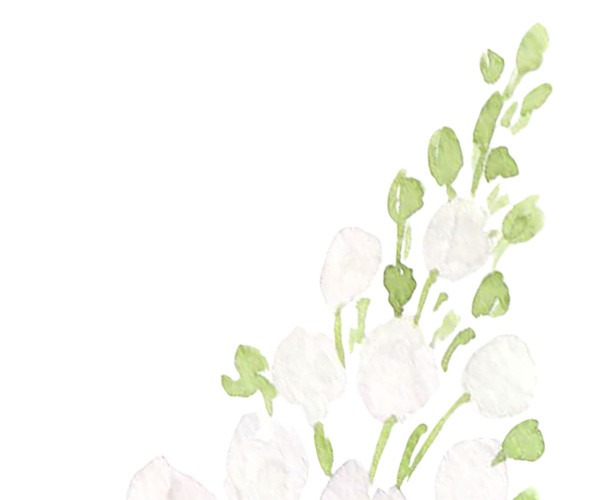白花绿枝 彩绘 手绘