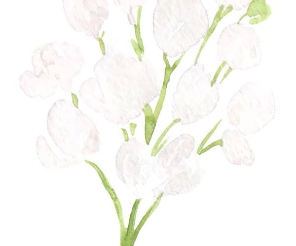白花绿枝 彩绘 手绘