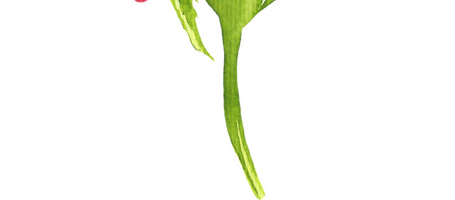 彩绘 水墨 手绘素材 花