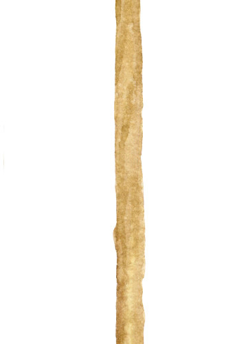 魔法棒